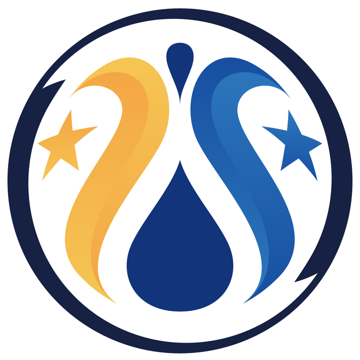 尼斯